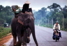 Ban Na Elephant Explorer