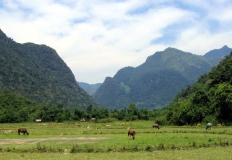 Throughout Laos with tastes – 15 days