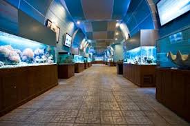Oceanographic Museum of Vietnam